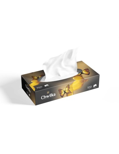 CHWILKA Chusteczki higieniczne wyciągane w kartoniku, 100 szt