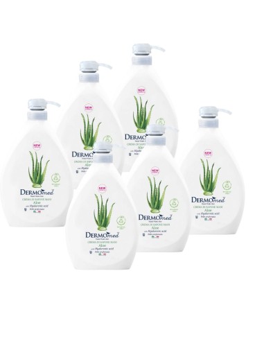 ‌DERMOMED Mydło w płynie ALOE, 1000 ml z pompką , pakiet 6 szt.