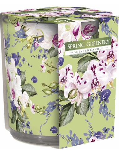 BISPOL AURA Świeca zapachowa w szkle SN72S-52 WIOSENNA ZIELEŃ, 100 g