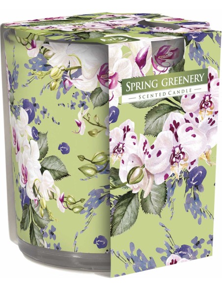 BISPOL AURA Świeca zapachowa w szkle SN72S-52 WIOSENNA ZIELEŃ, 100 g