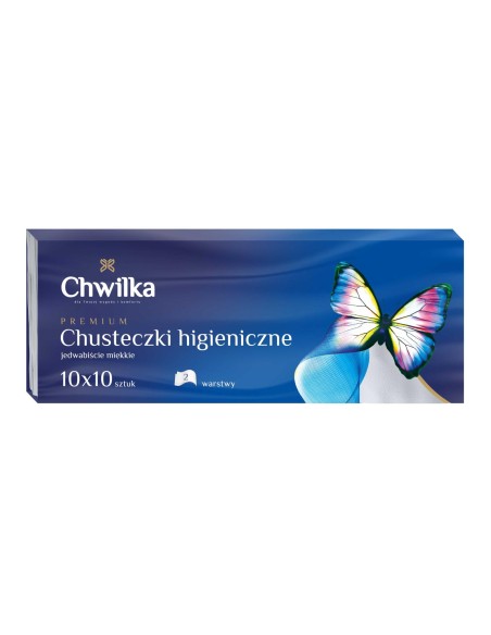 CHWILKA Chusteczki higieniczne SOFT 10X10, 1 op