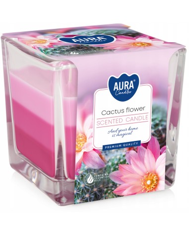 BISPOL AURA Świeca zapachowa w szkle SNK80-312, KWIAT KAKTUSA, 1 szt