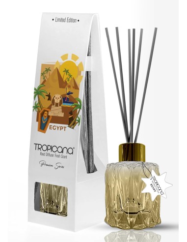 TROPICANA Patyczki zapachowe EGYPT, 100 ml
