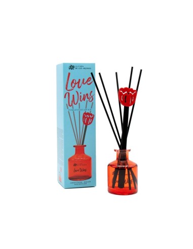 LA CASA DE LOS AROMAS FUNNY Patyczki zapachowe LOVE WINGS, 50 ml