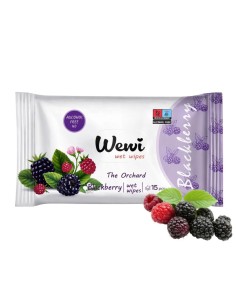 WEWI Chusteczki nawilżane 15 szt JEŻYNA, 1 op