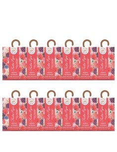 LA CASA DE LOS AROMAS INTENSO Saszetka zapachowa CZERWONE OWOCE, PAKIET 12 x 100 ml